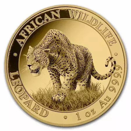 Złota Moneta Somalijski Leopard 1 uncja 24h