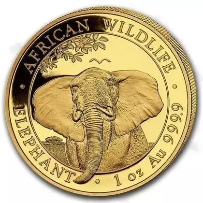 Złota Moneta Somalijski Słoń 1 uncja 2021 24h