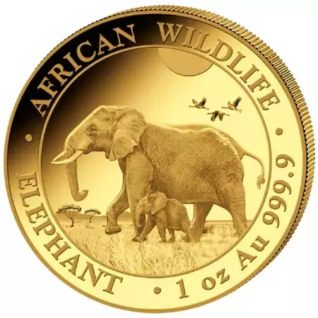 Złota Moneta Somalijski Słoń 1 uncja 24h